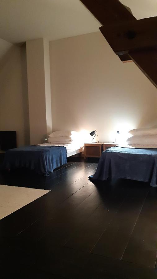 Villa Le Loft Sancergues Esterno foto